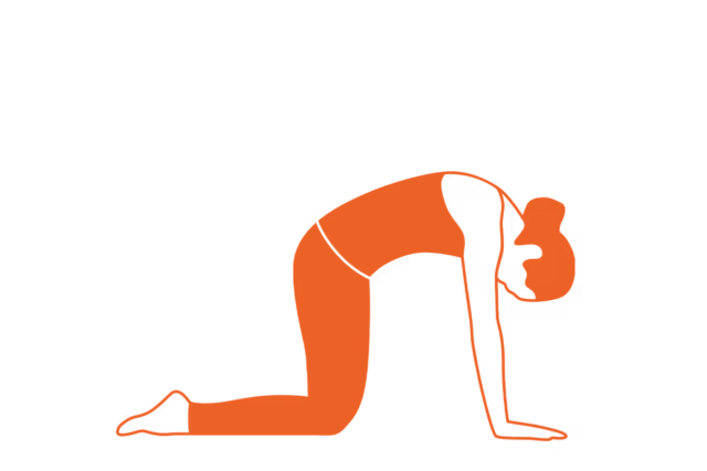 Yoga Pose